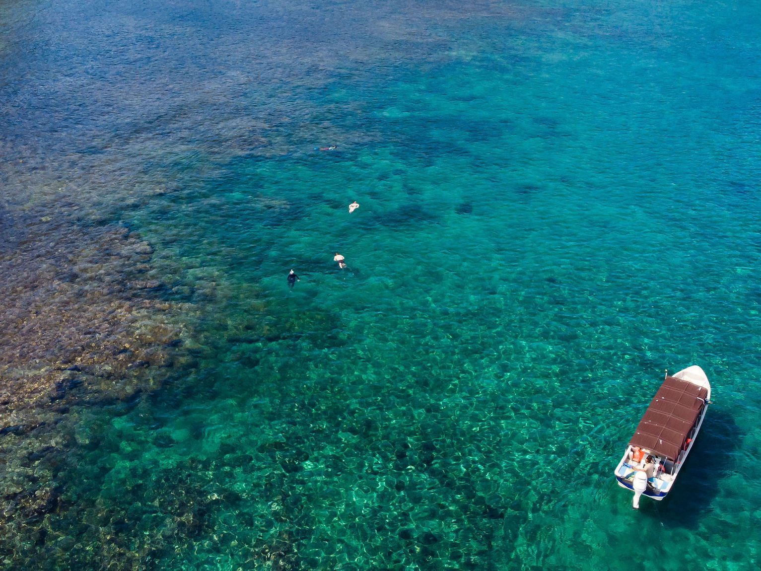 Explore Isla Palenque 3