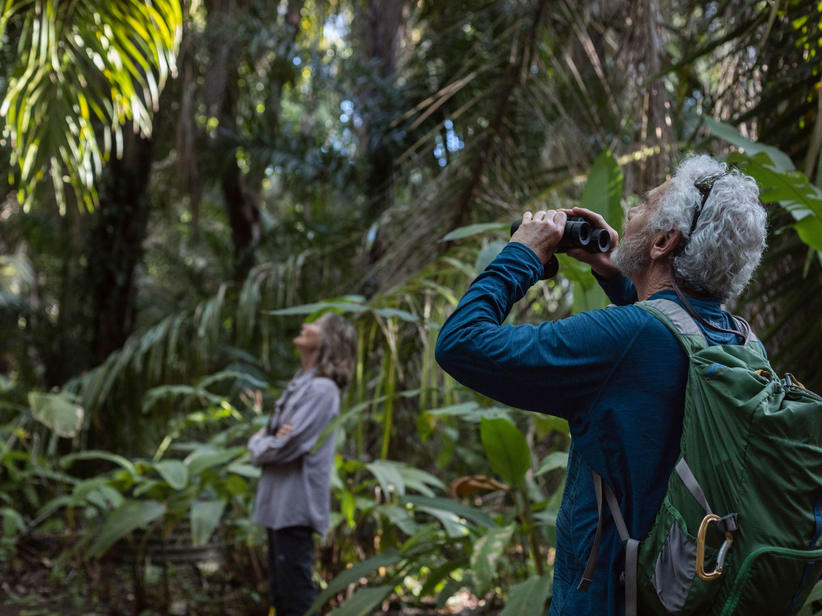 Explore Isla Palenque