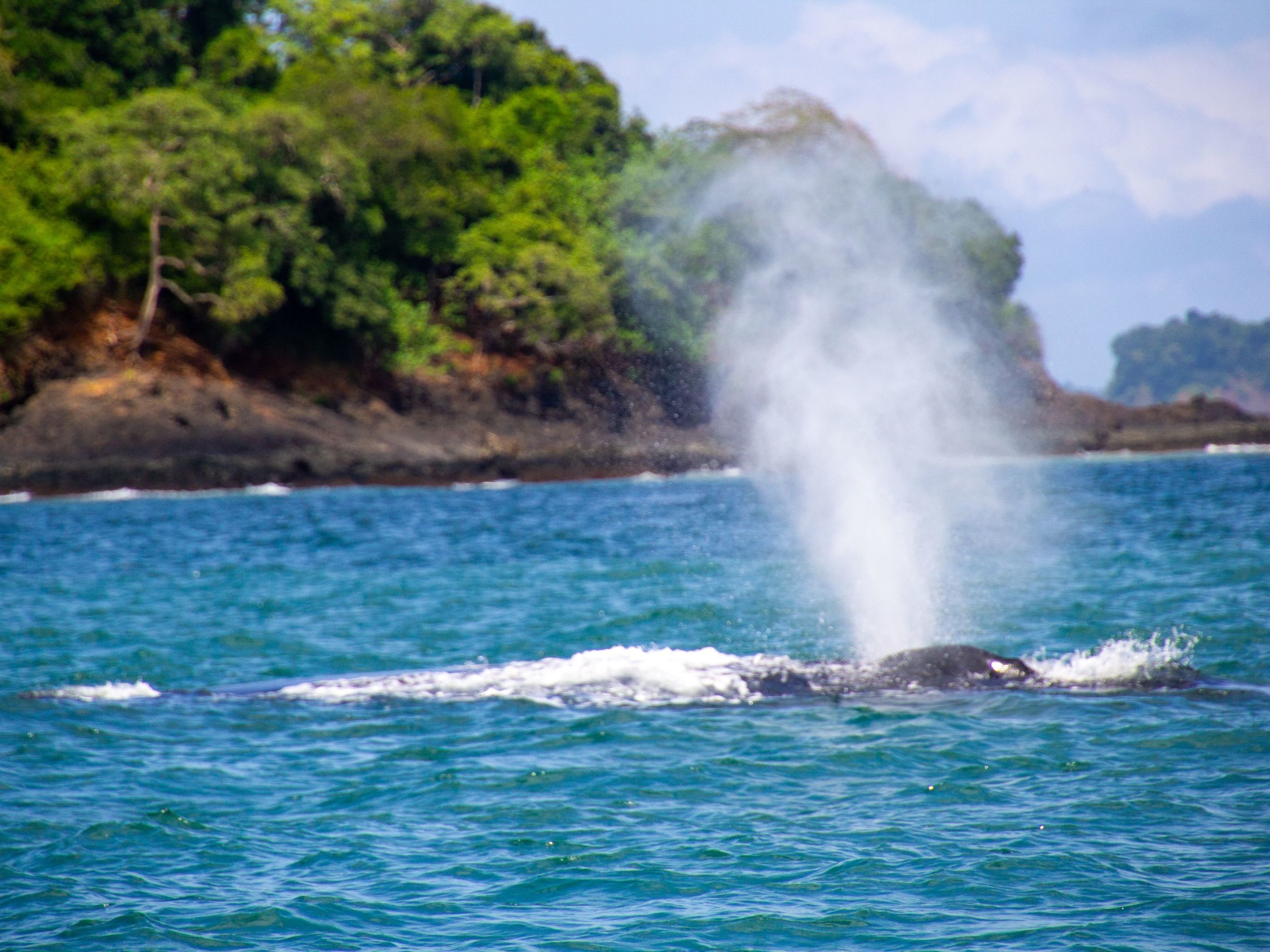 Explore Isla Palenque
