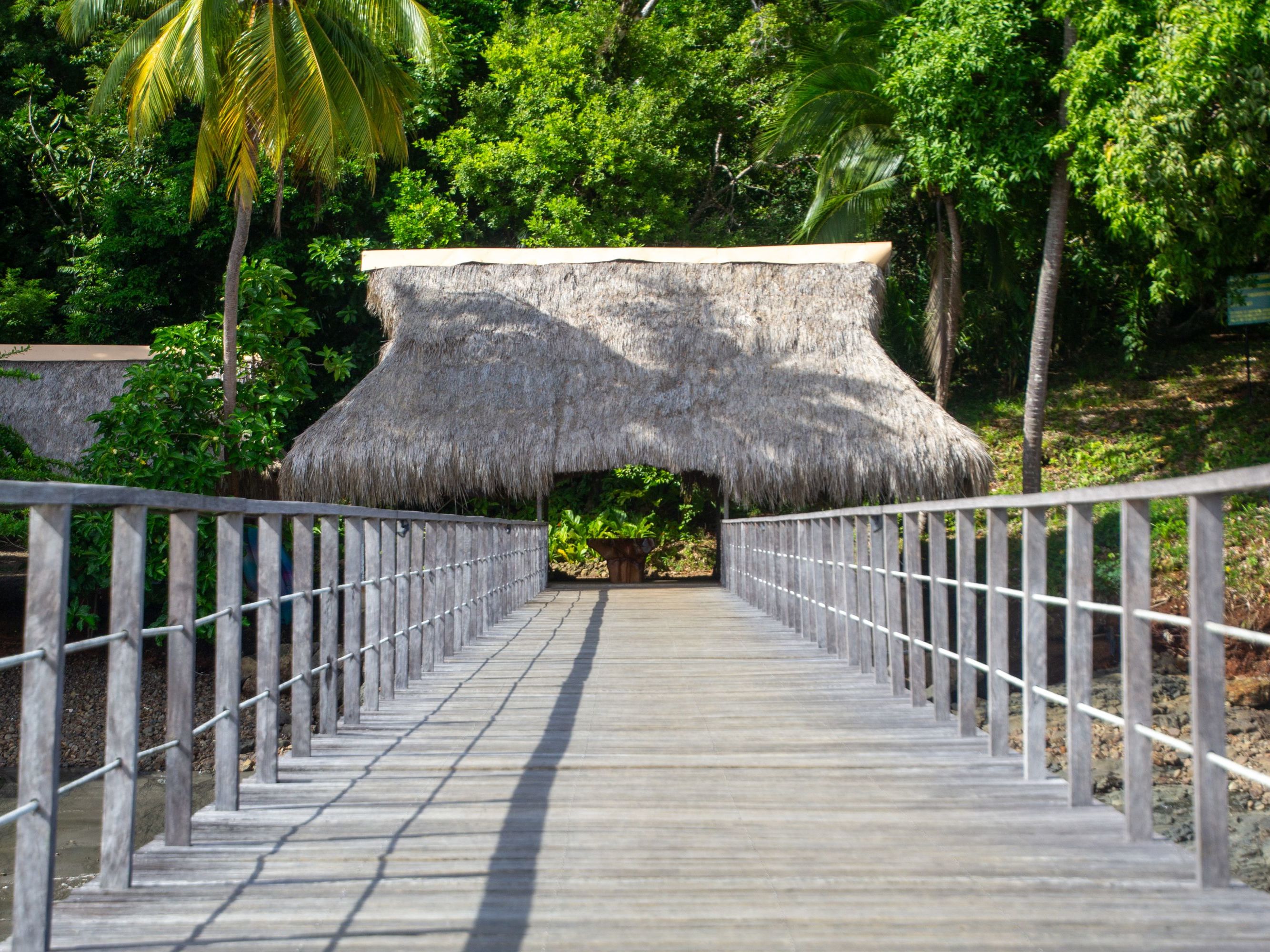 Private Transfer from David to Boca Chica / Boat to Palenque