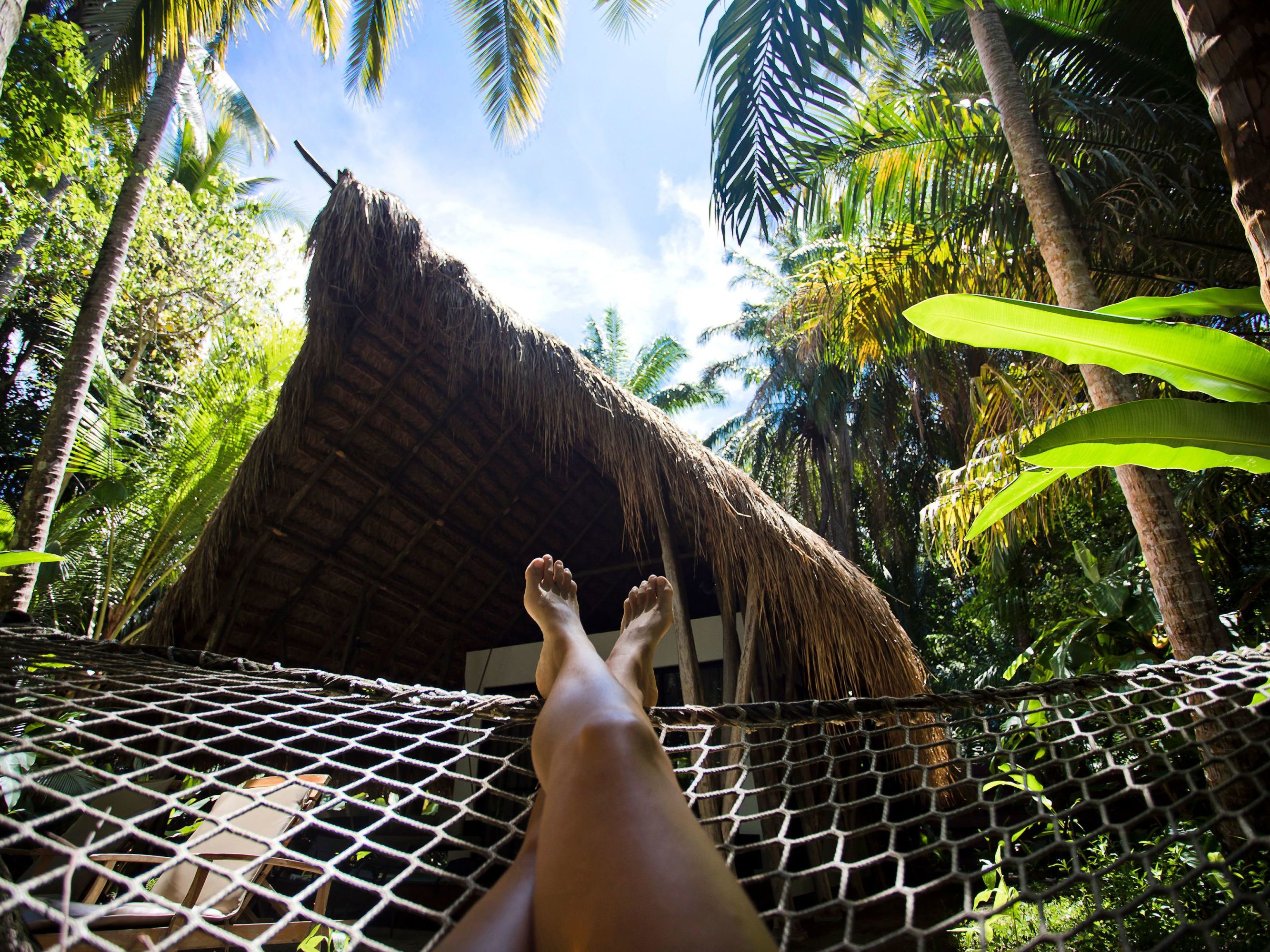 Explore Isla Palenque