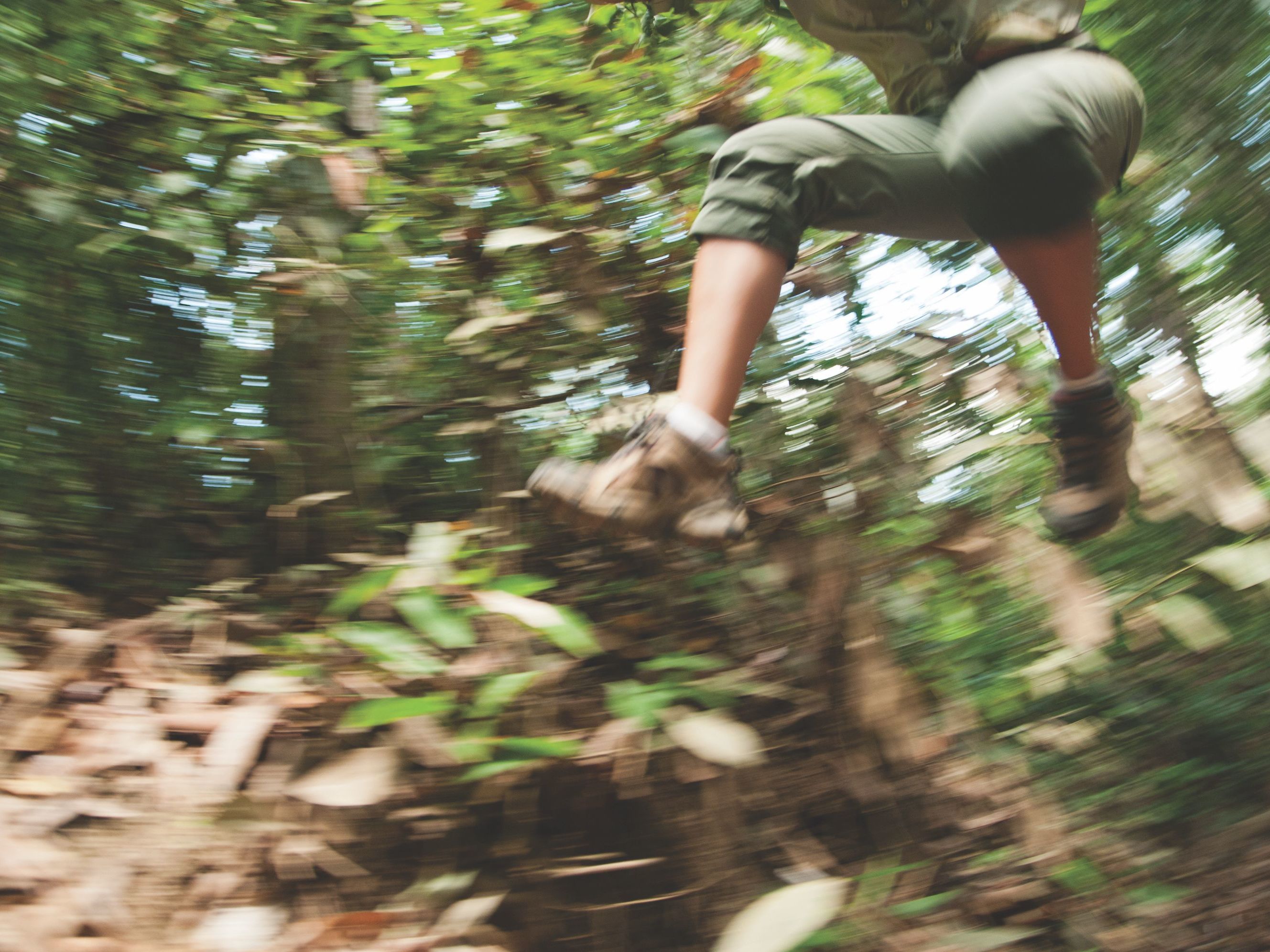 Discover the Hidden Wonders of the Amazon