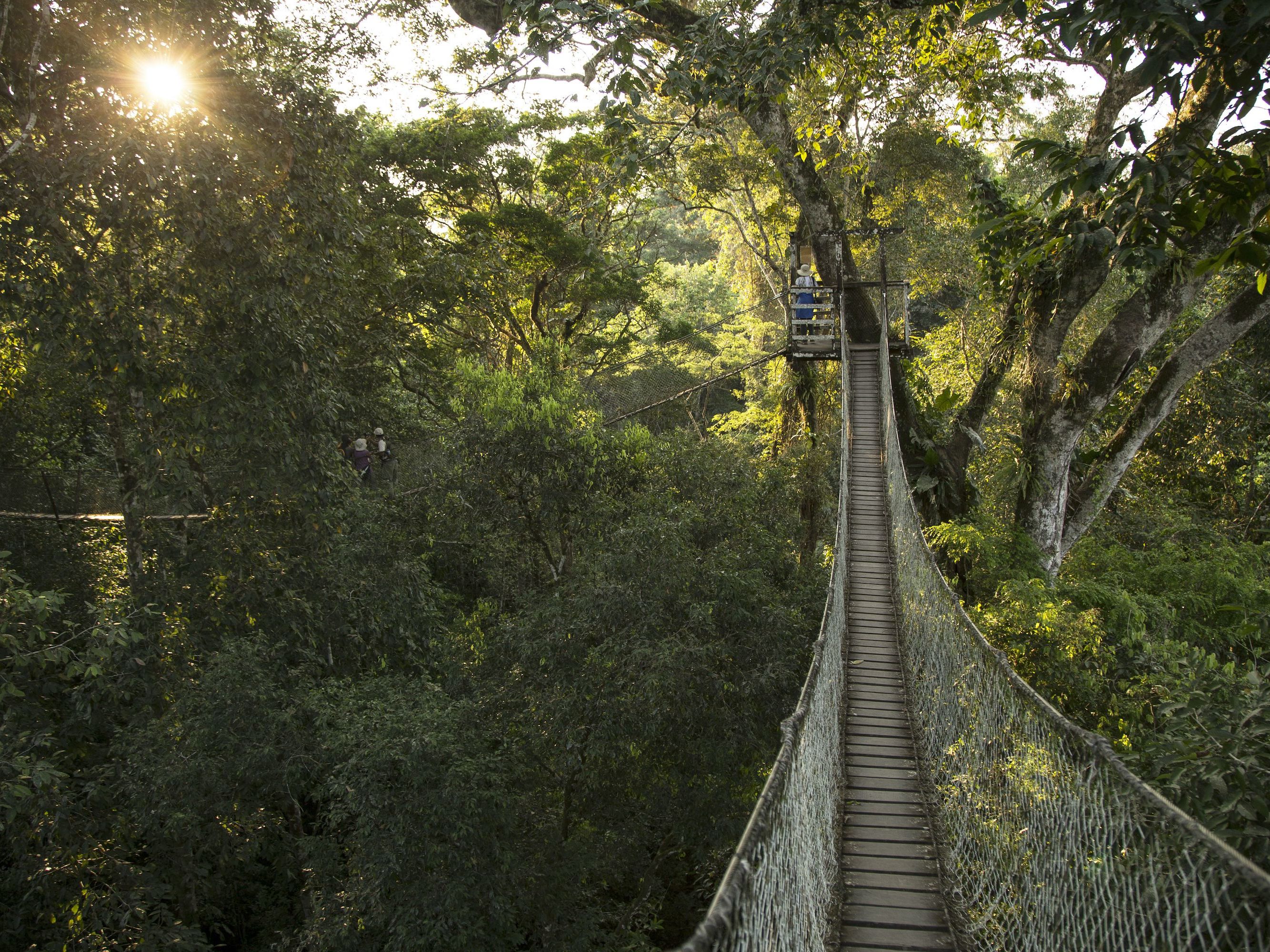 Continue Adventuring in the Peruvian Amazon