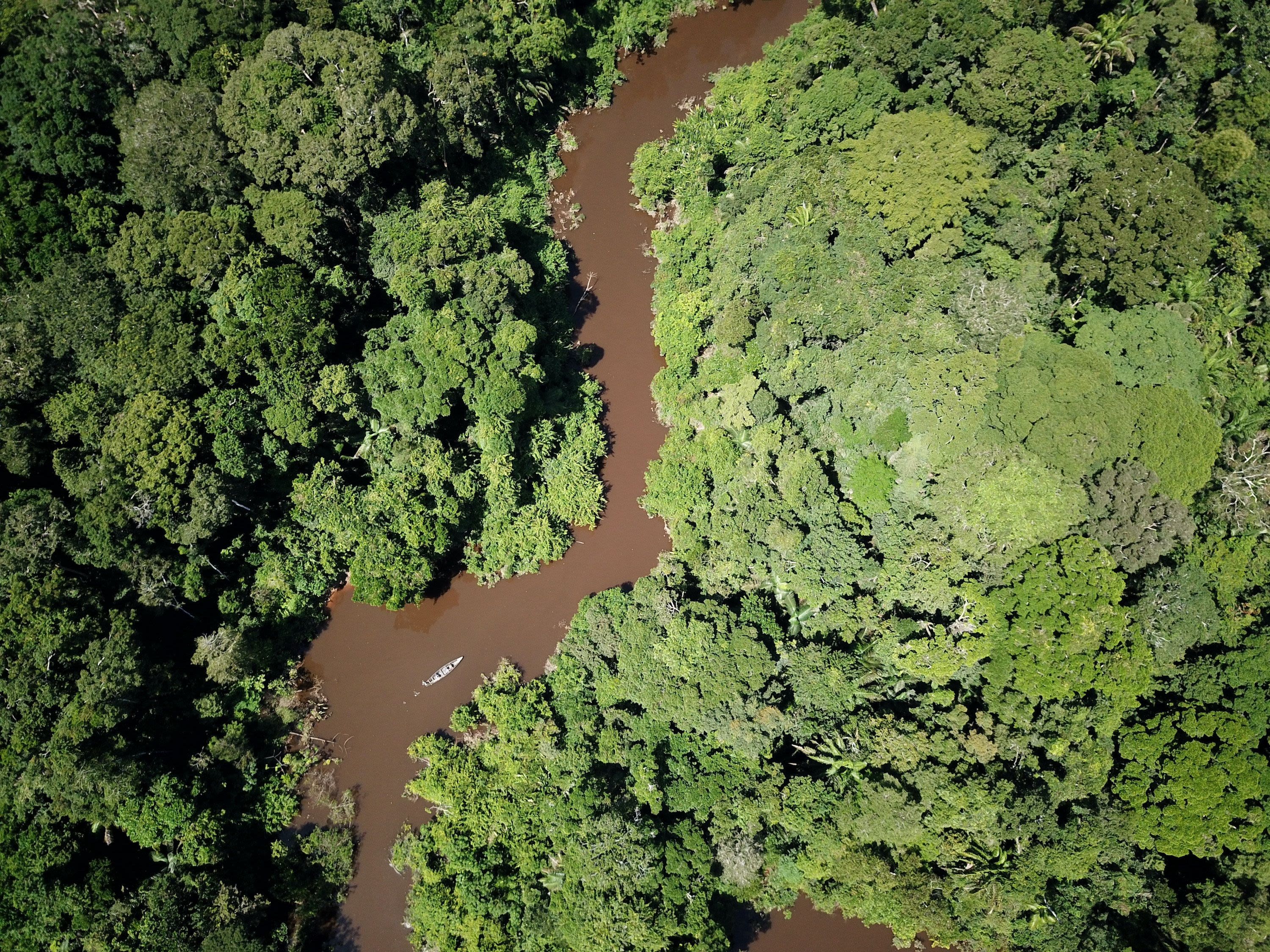 Continue Adventuring in the Peruvian Amazon