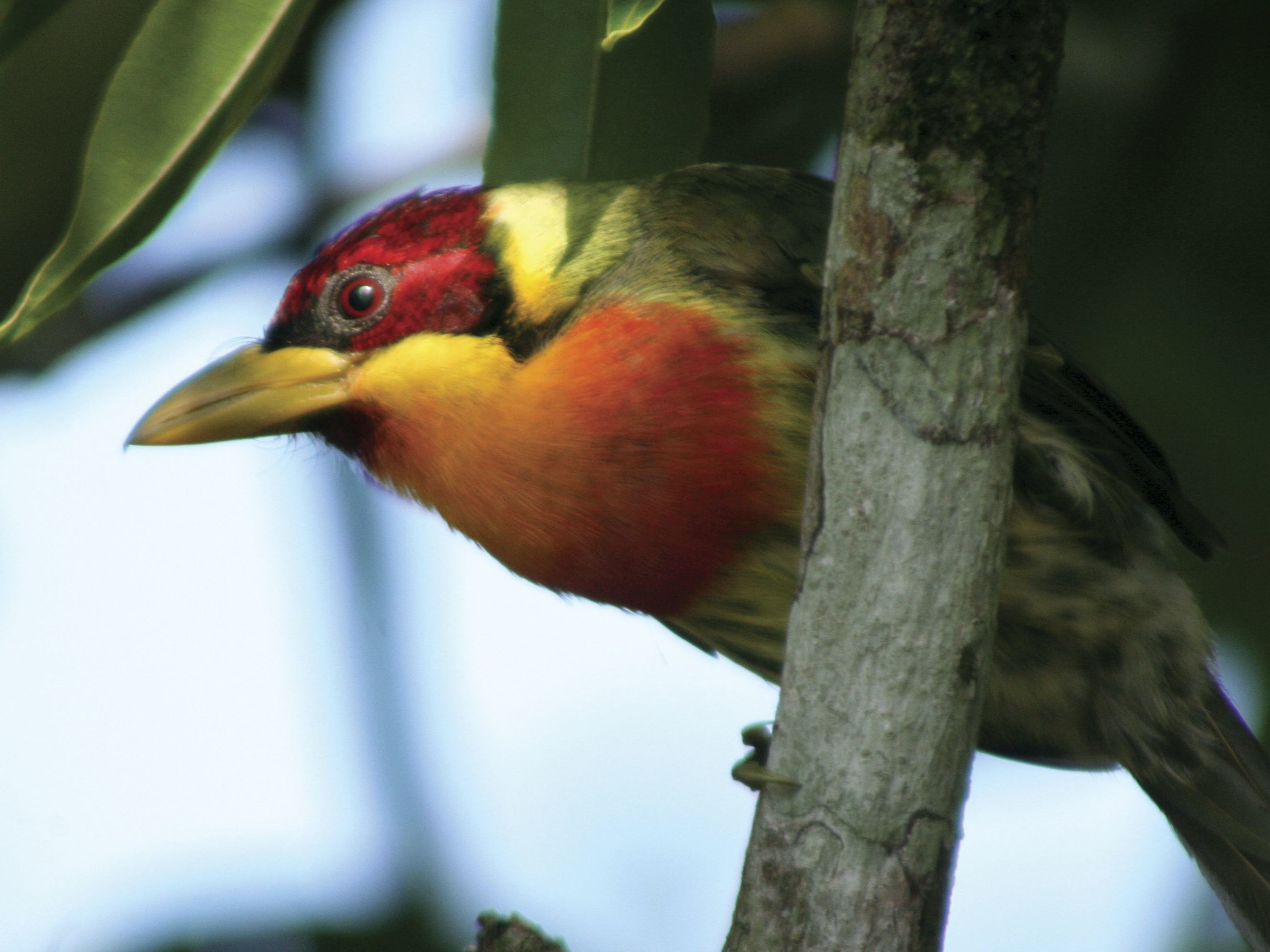 Continue Adventuring in the Peruvian Amazon