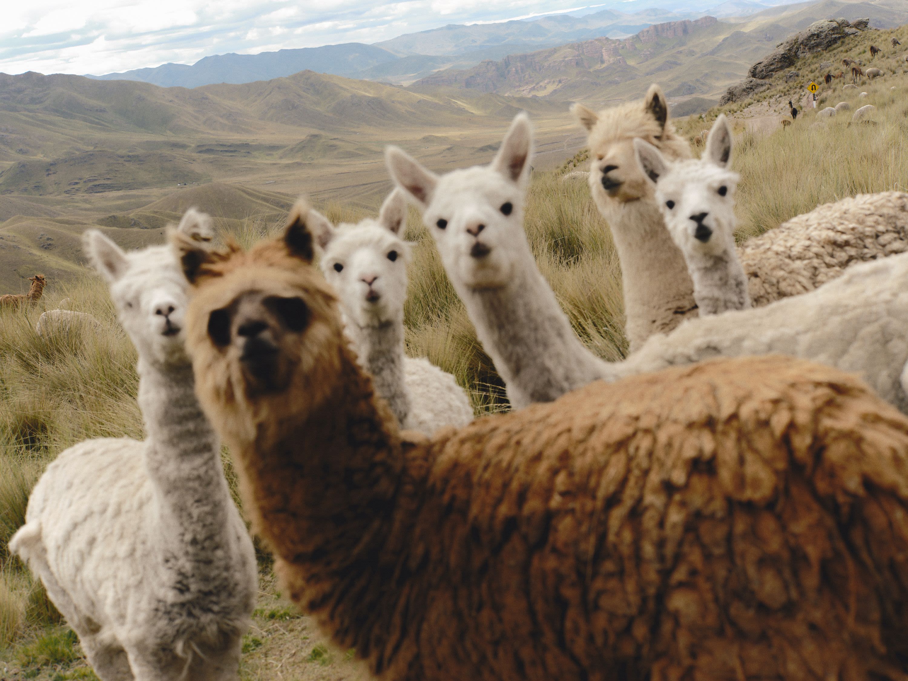 Transfer from Colca Canyon to Tinajani Canyon