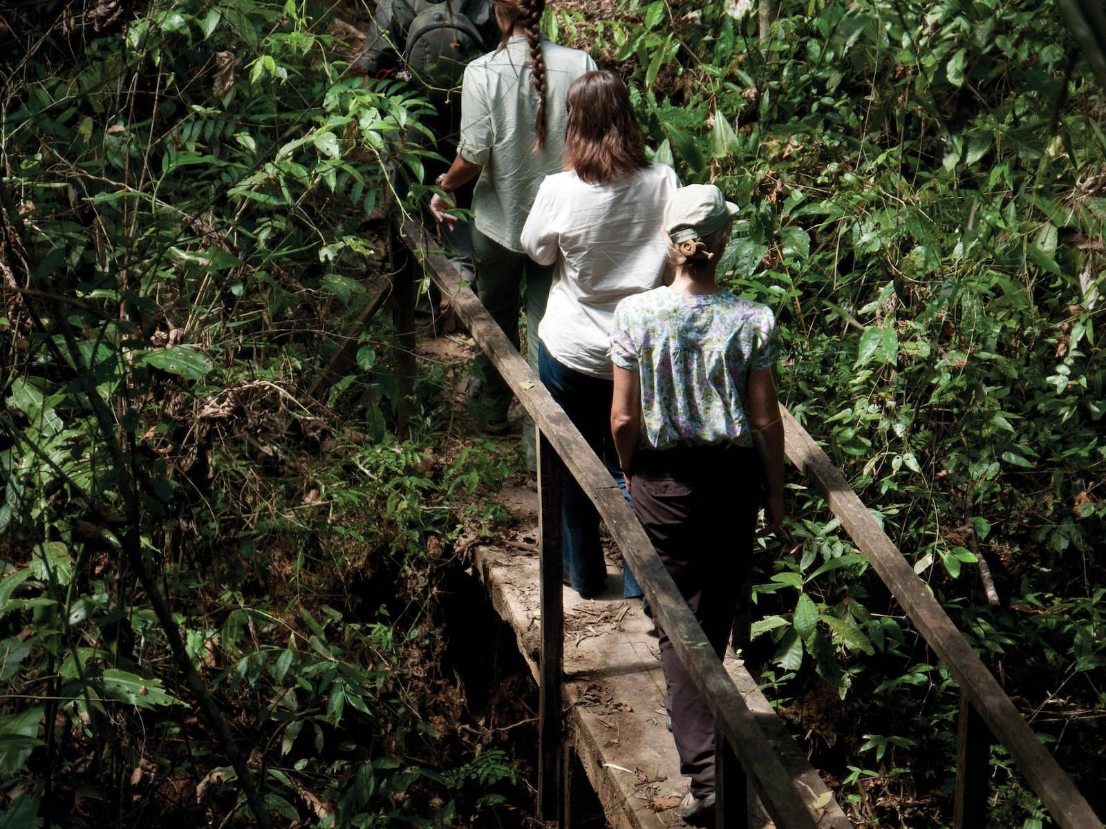 Discover the Hidden Wonders of the Amazon
