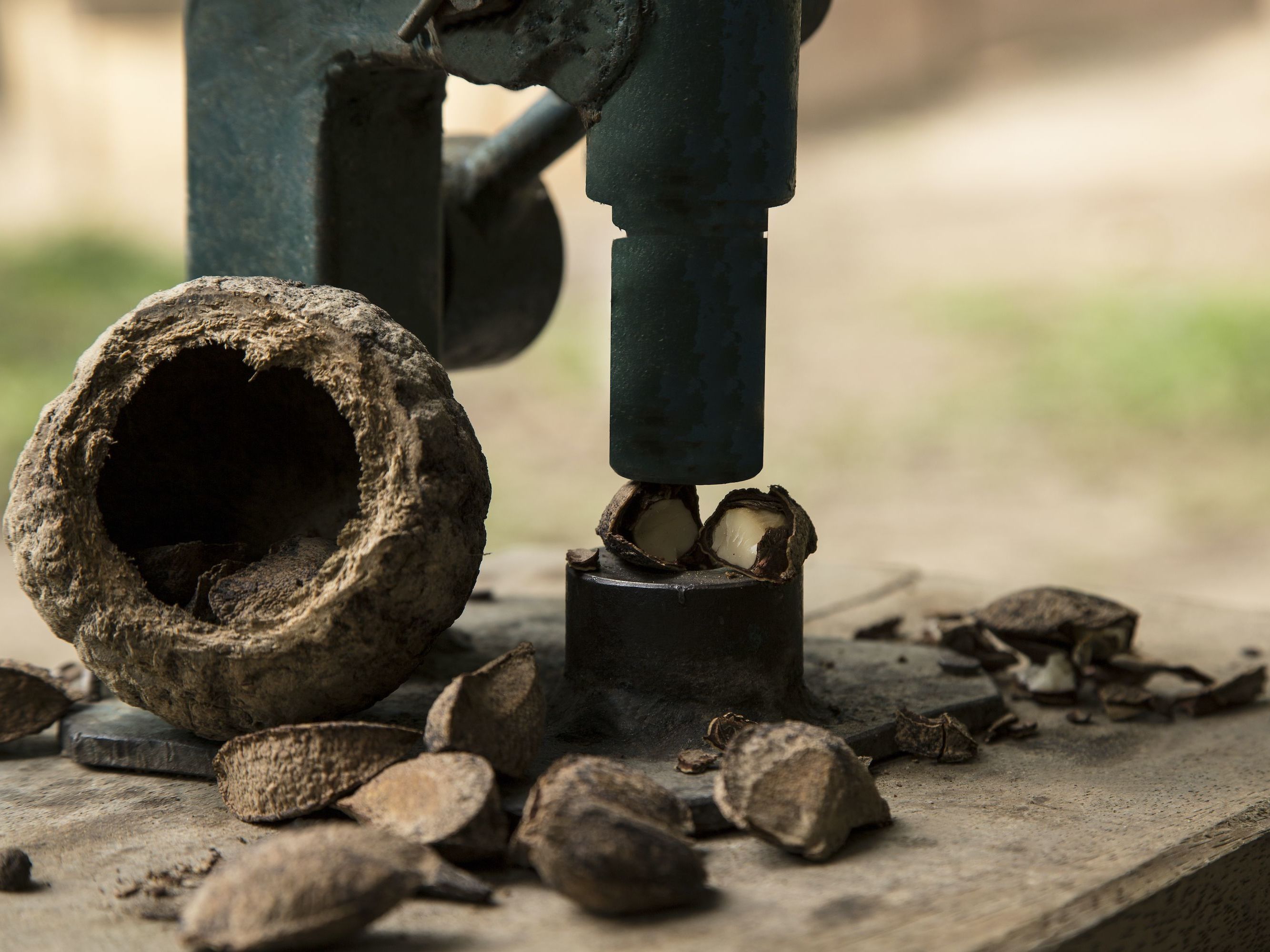 Discover the Hidden Wonders of the Amazon