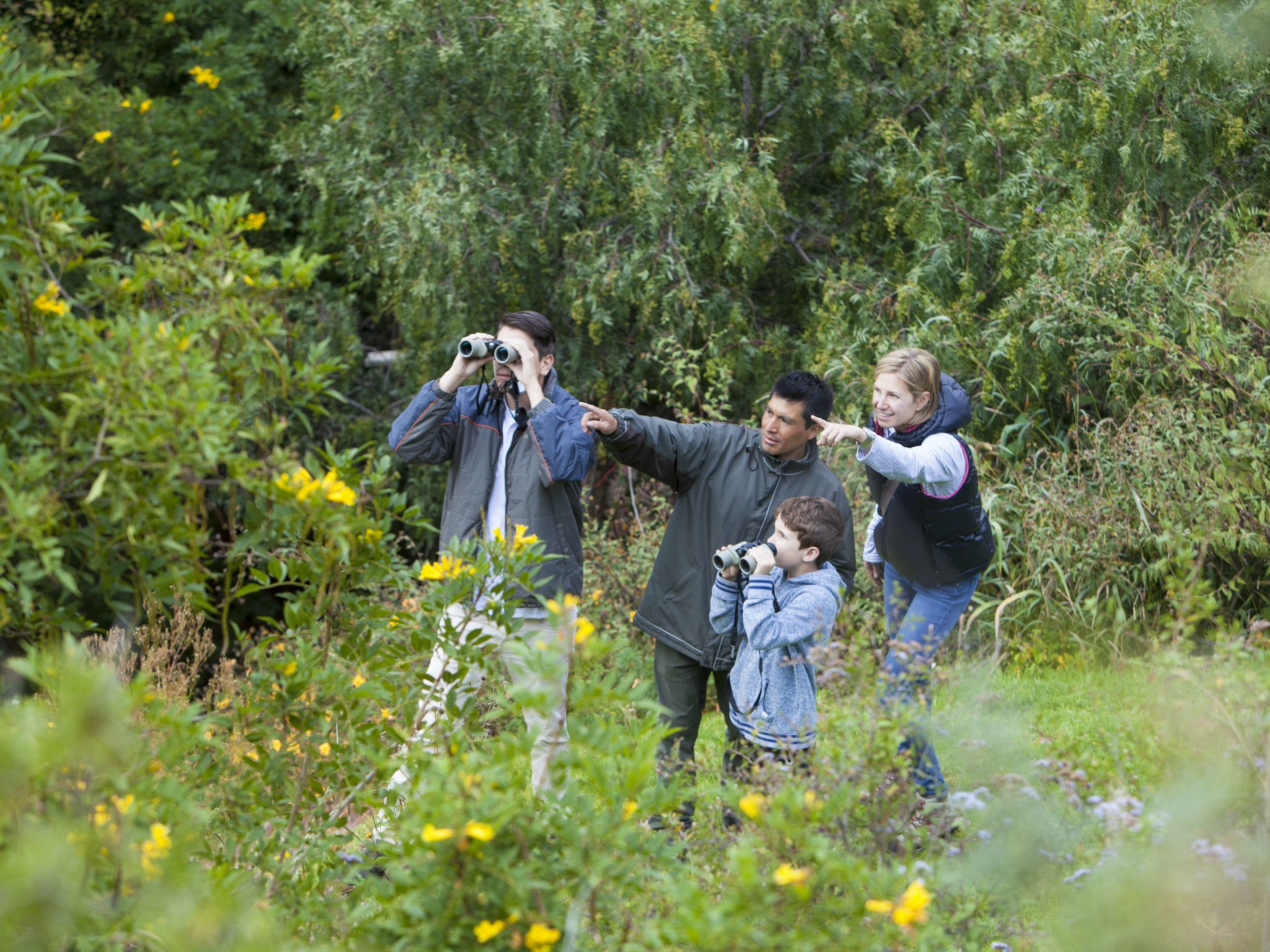 Immersion in the Magic of the Sacred Valley