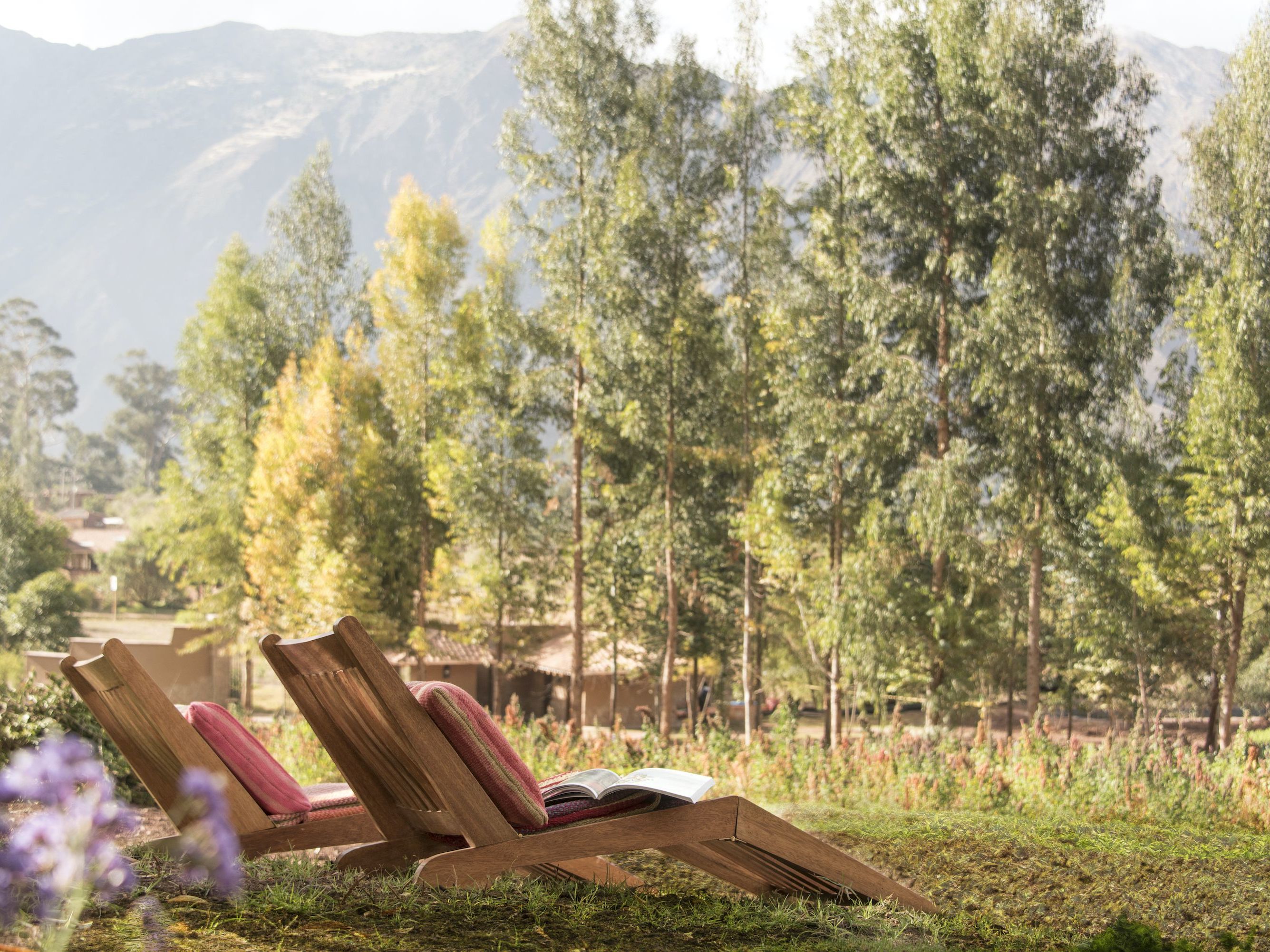 Immersion in the Magic of the Sacred Valley