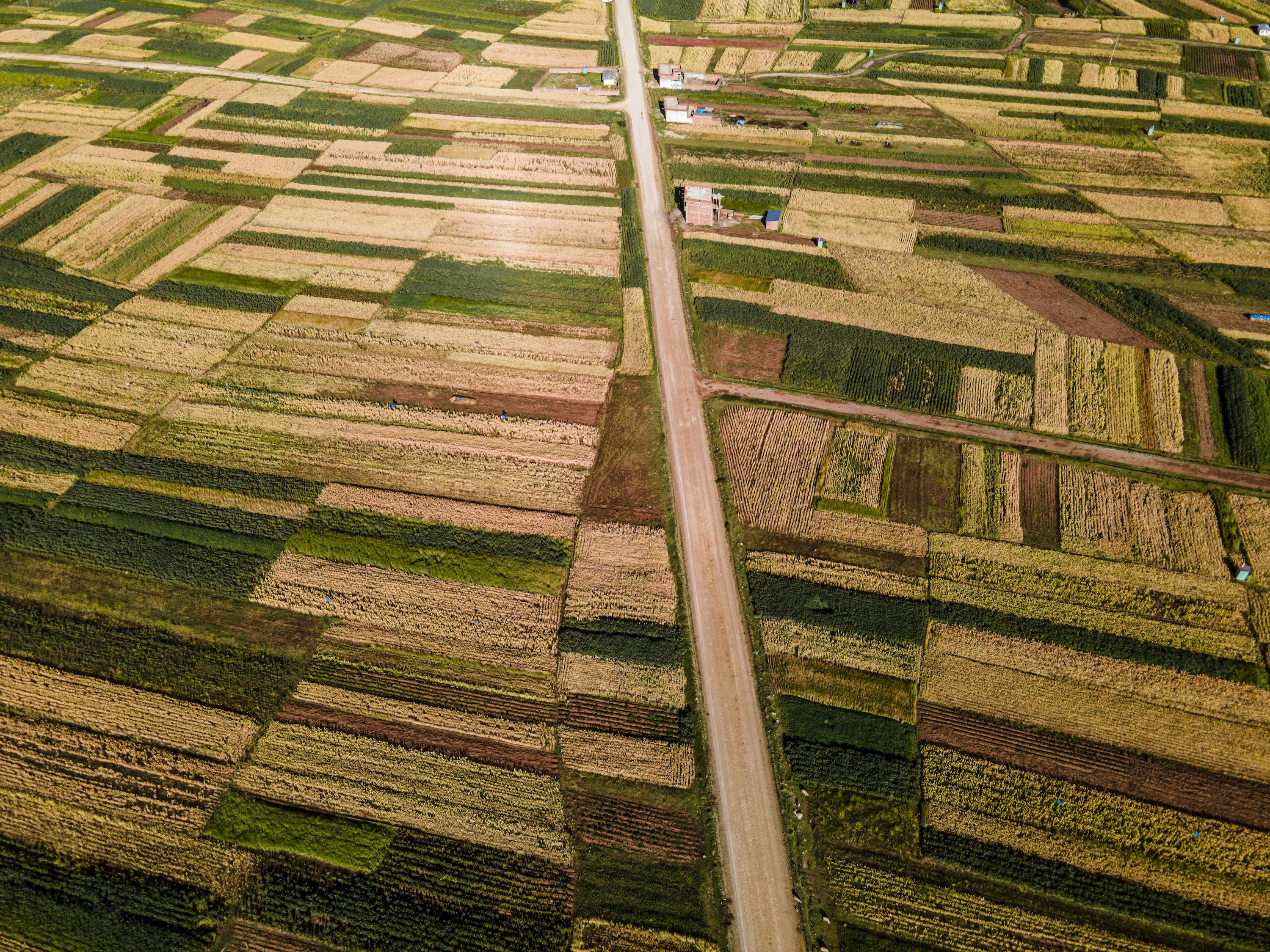 Altiplano Immersion and Lake Fun