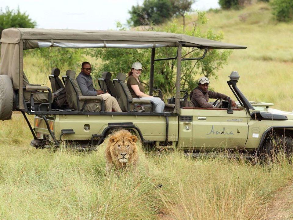 On safari in the Serengeti National Park