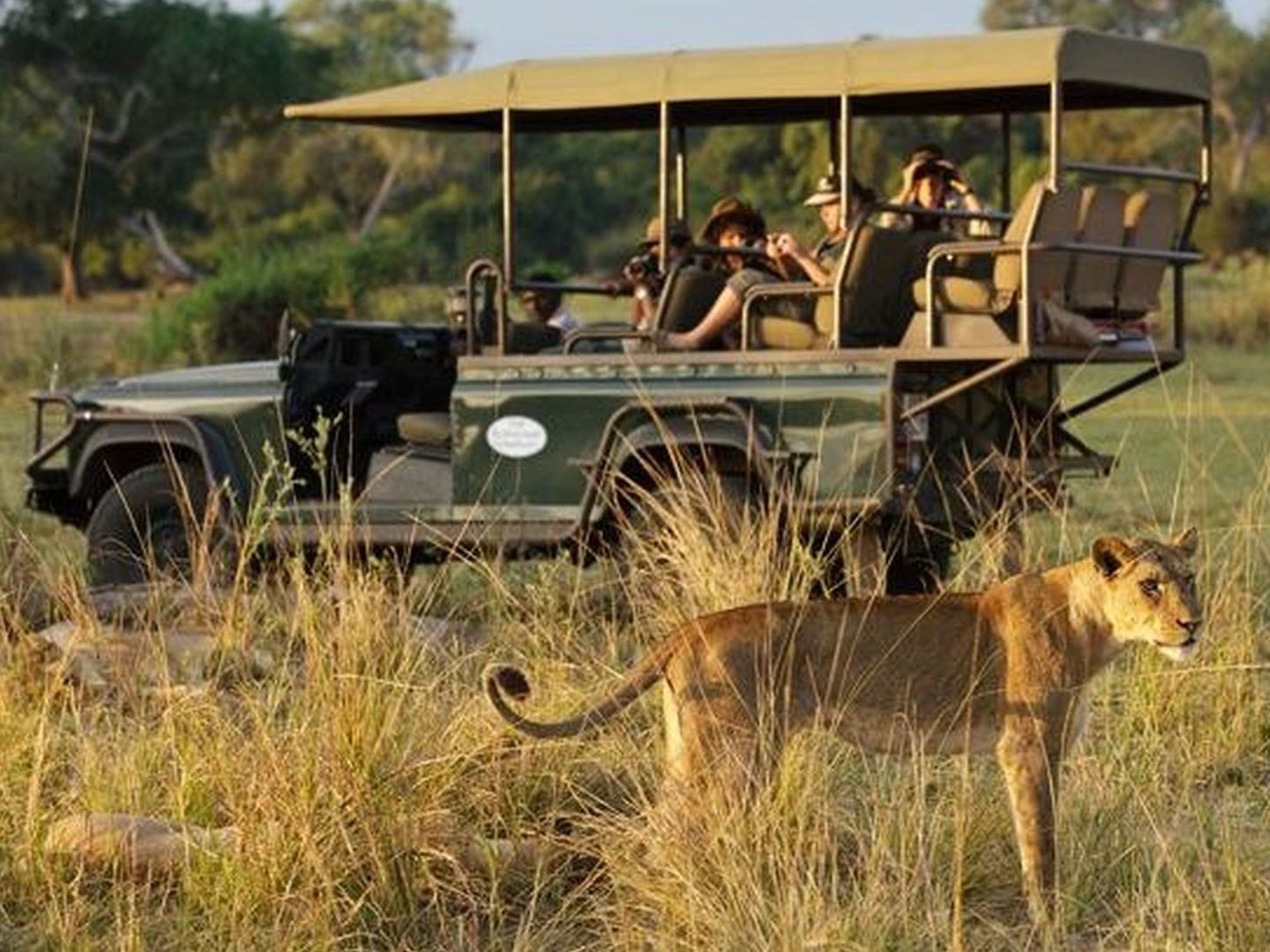 South Luangwa National Park