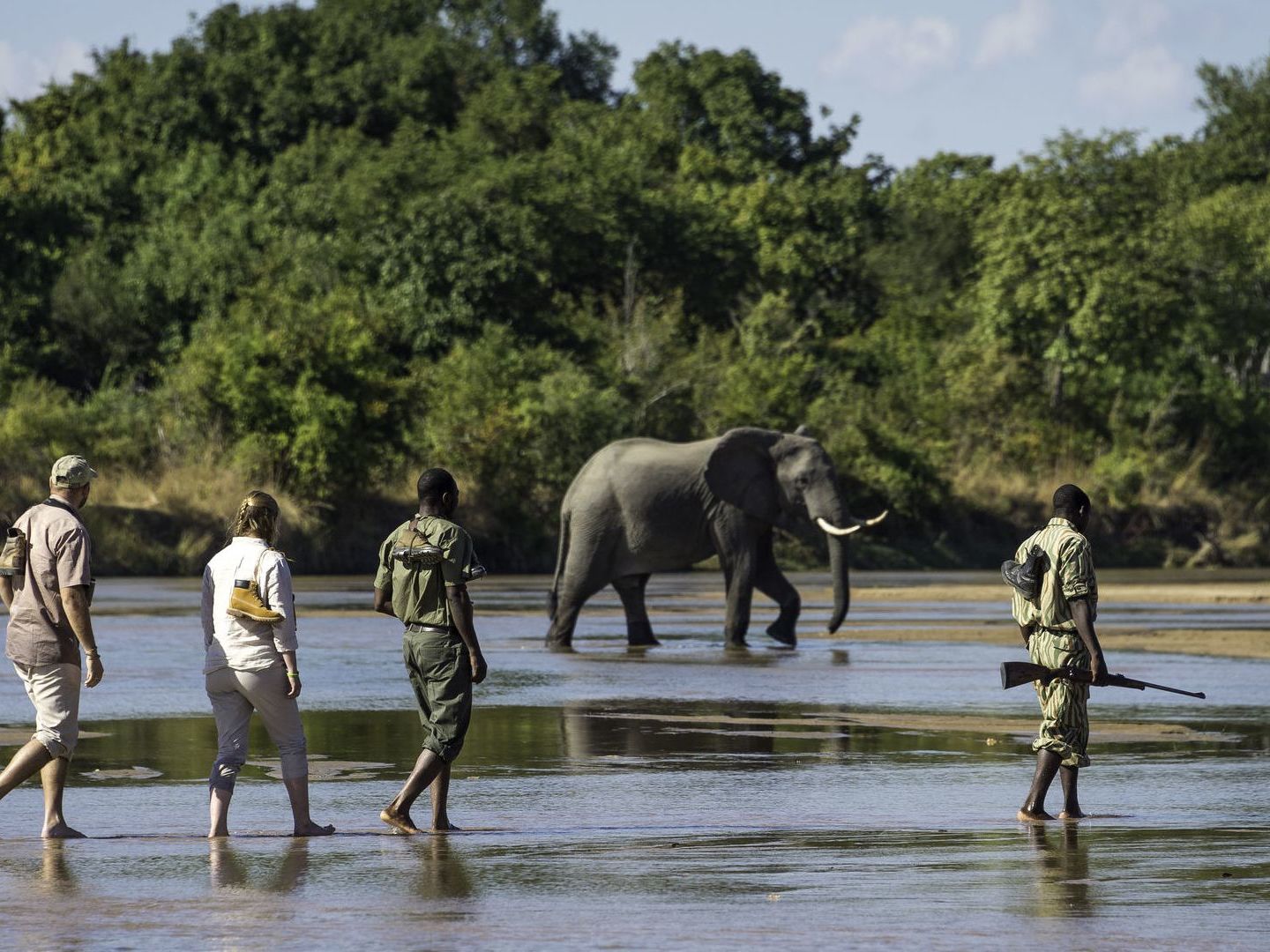 On safari in the South Luangwa National Park