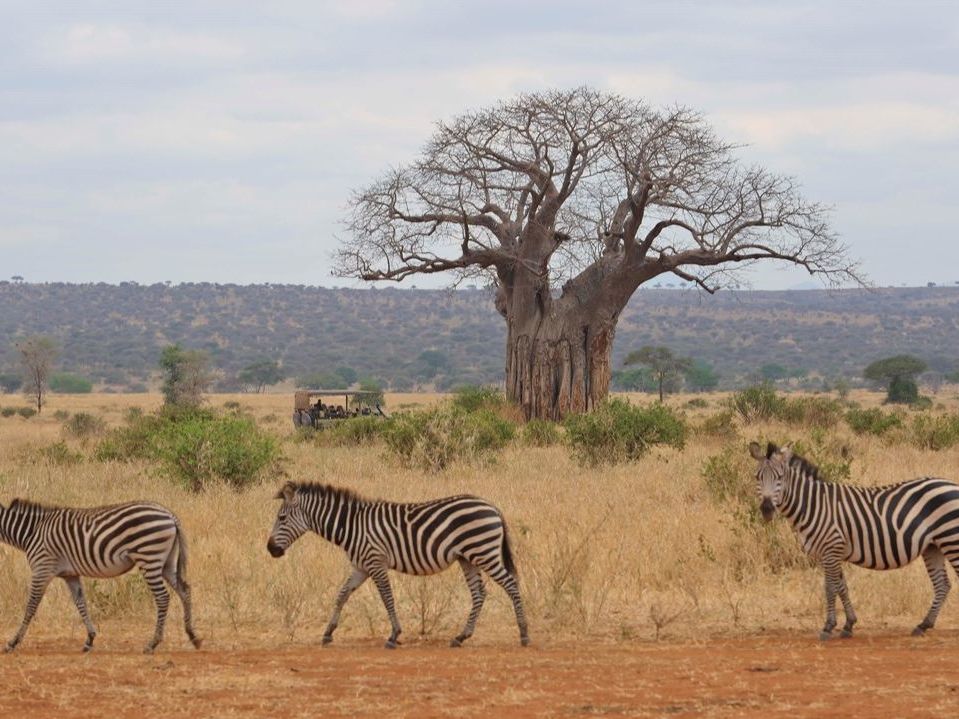 Tarangire National Park