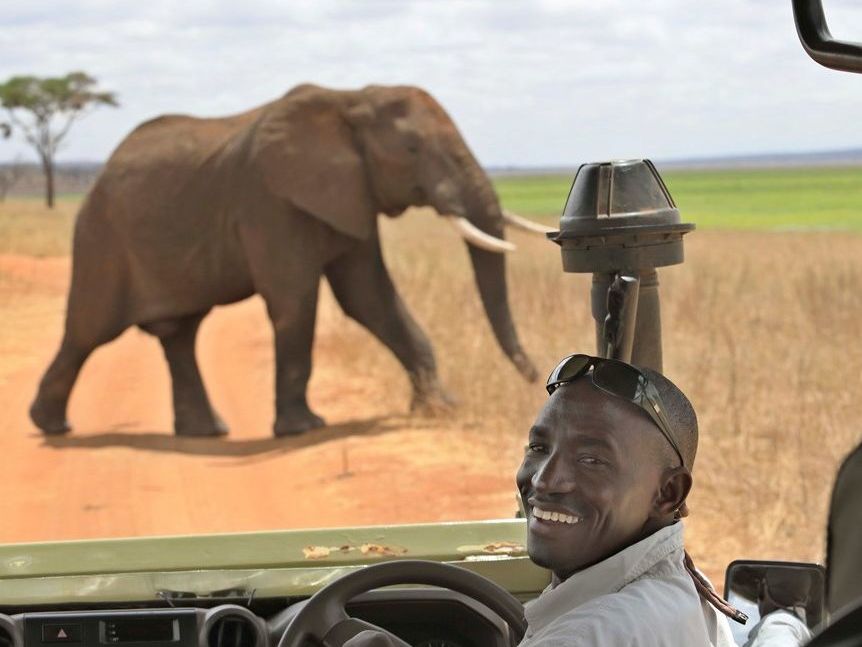 On safari in Tarangire National Park