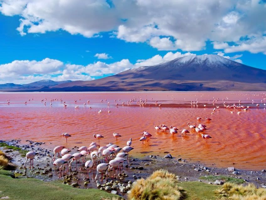 Villamar, Laguna Colorada & Ojo de Perdiz