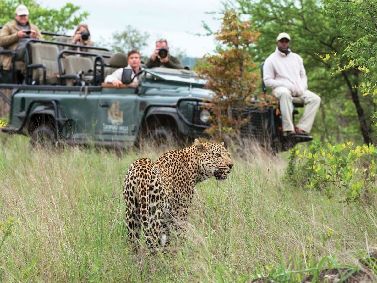Sabi Sand Game Reserve