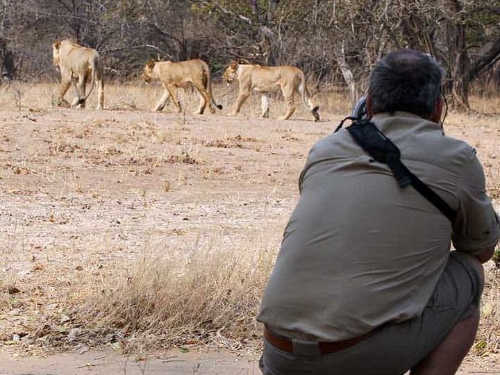 On safari in Mana Pools National Park