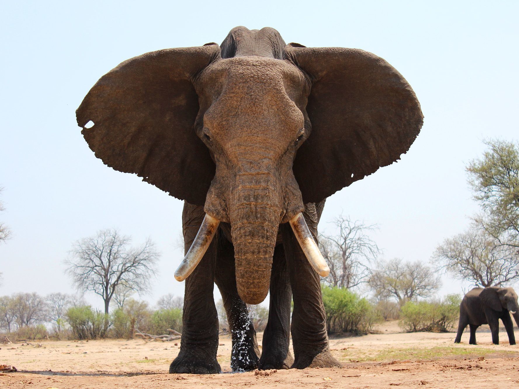 Hwange National Park