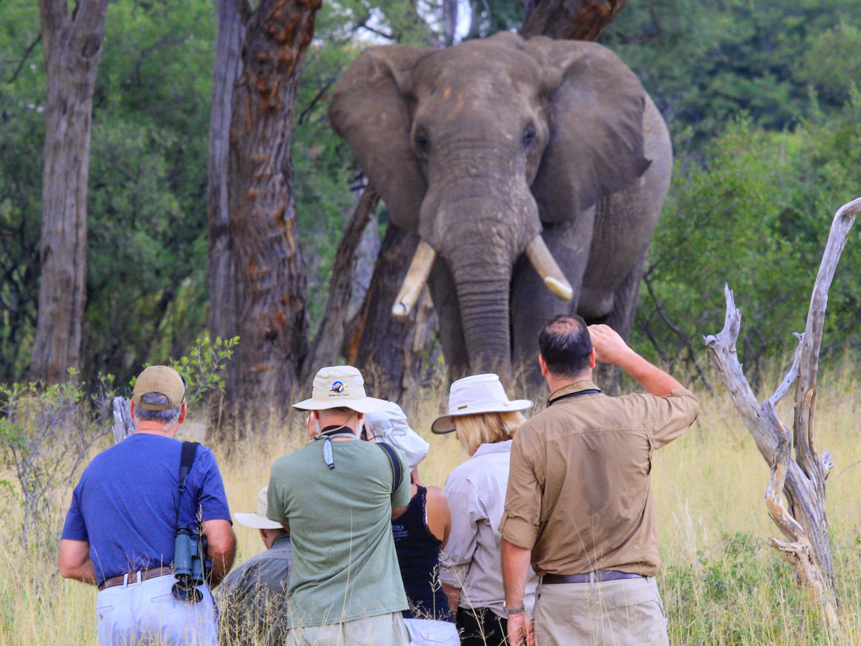 Hwange National Park, Zimbabwe