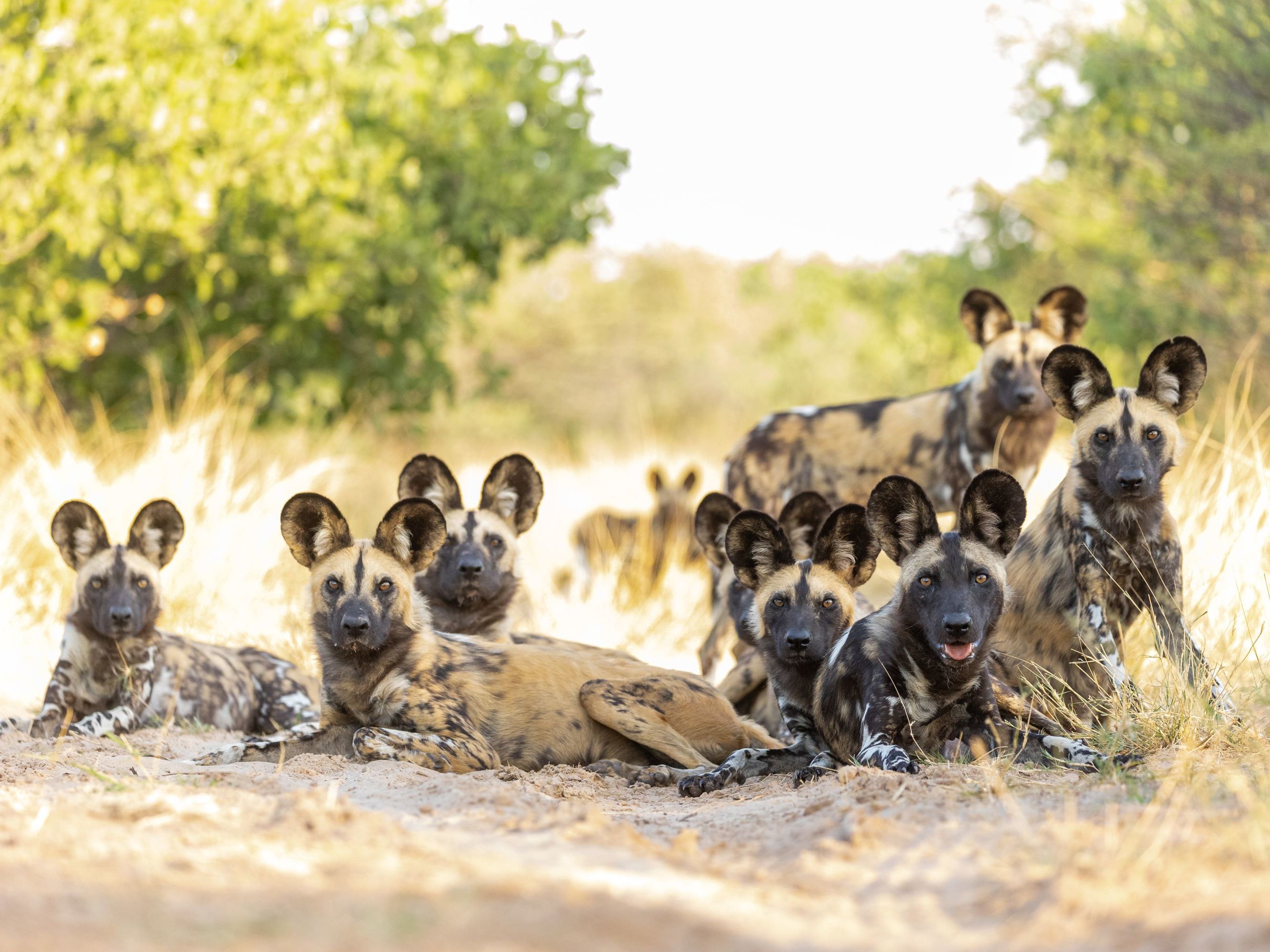 Kruger National Park