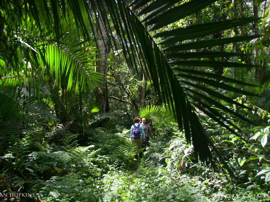 Entebbe Arrival - Kibale Forest