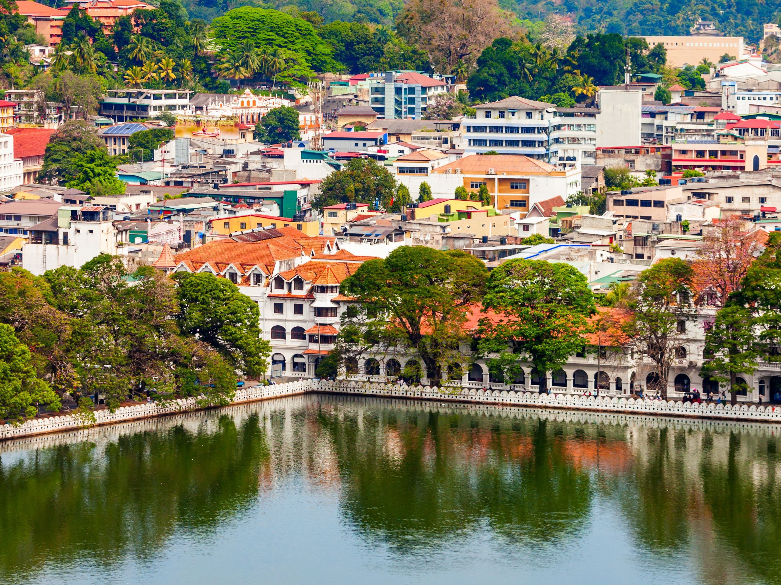 Kandy - Guided Visit including the Royal Botanical Gardens