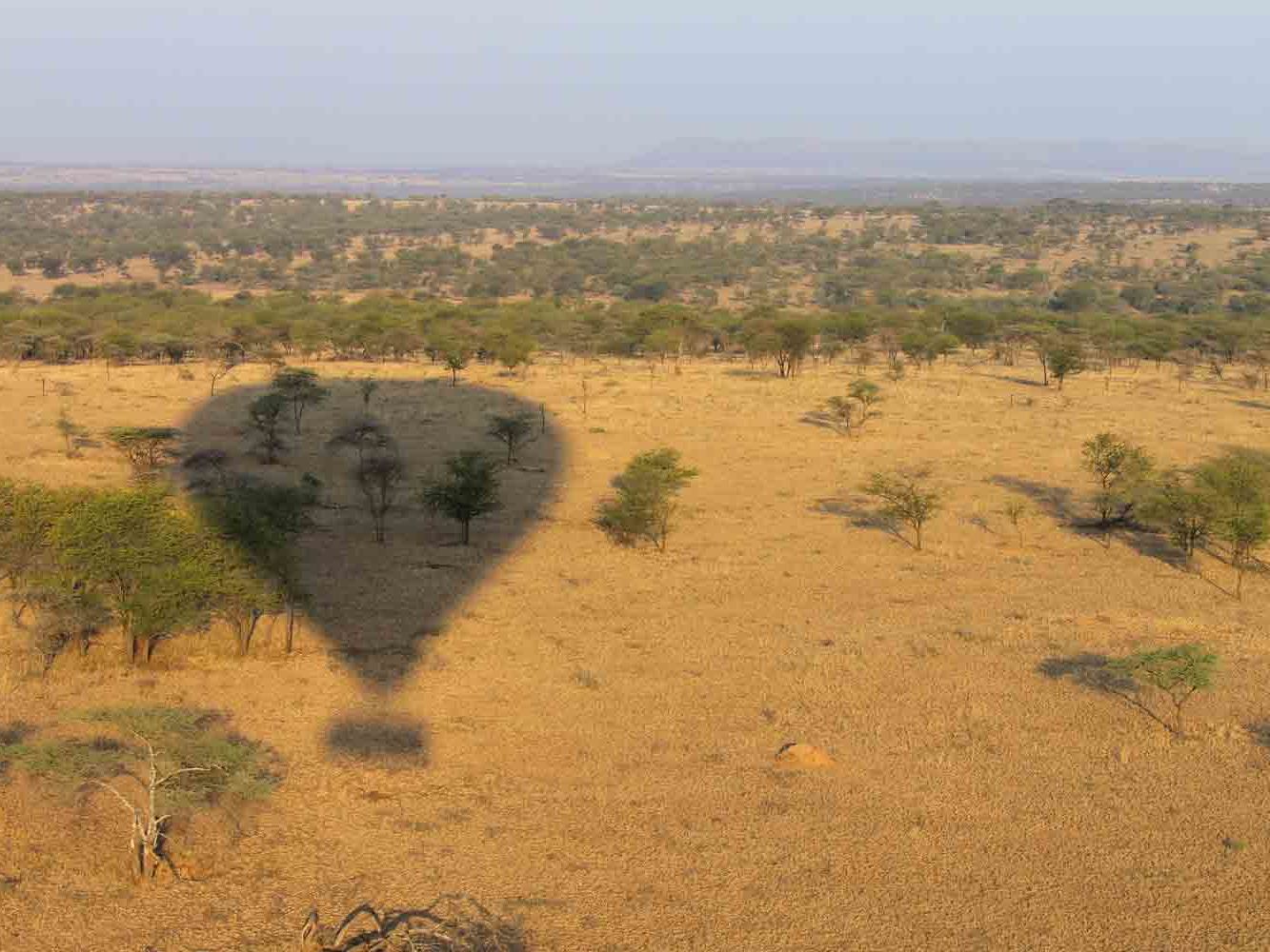 Nimali Serengeti Camp
