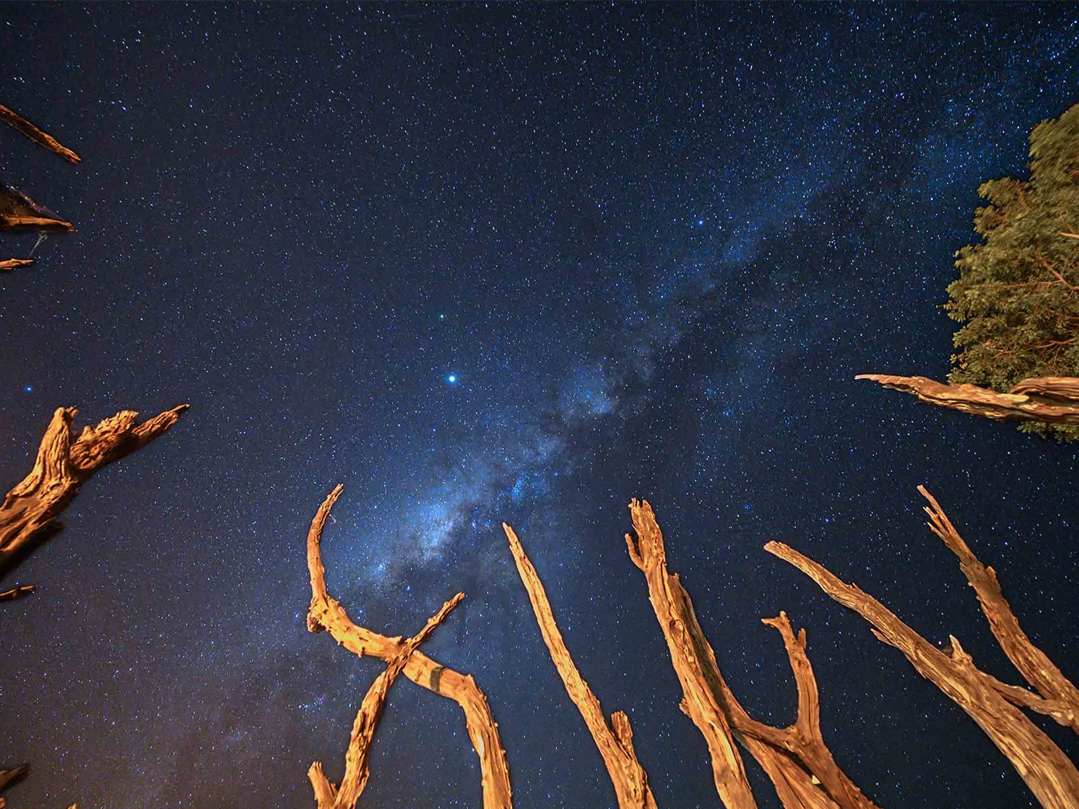 Nimali Tarangire Camp