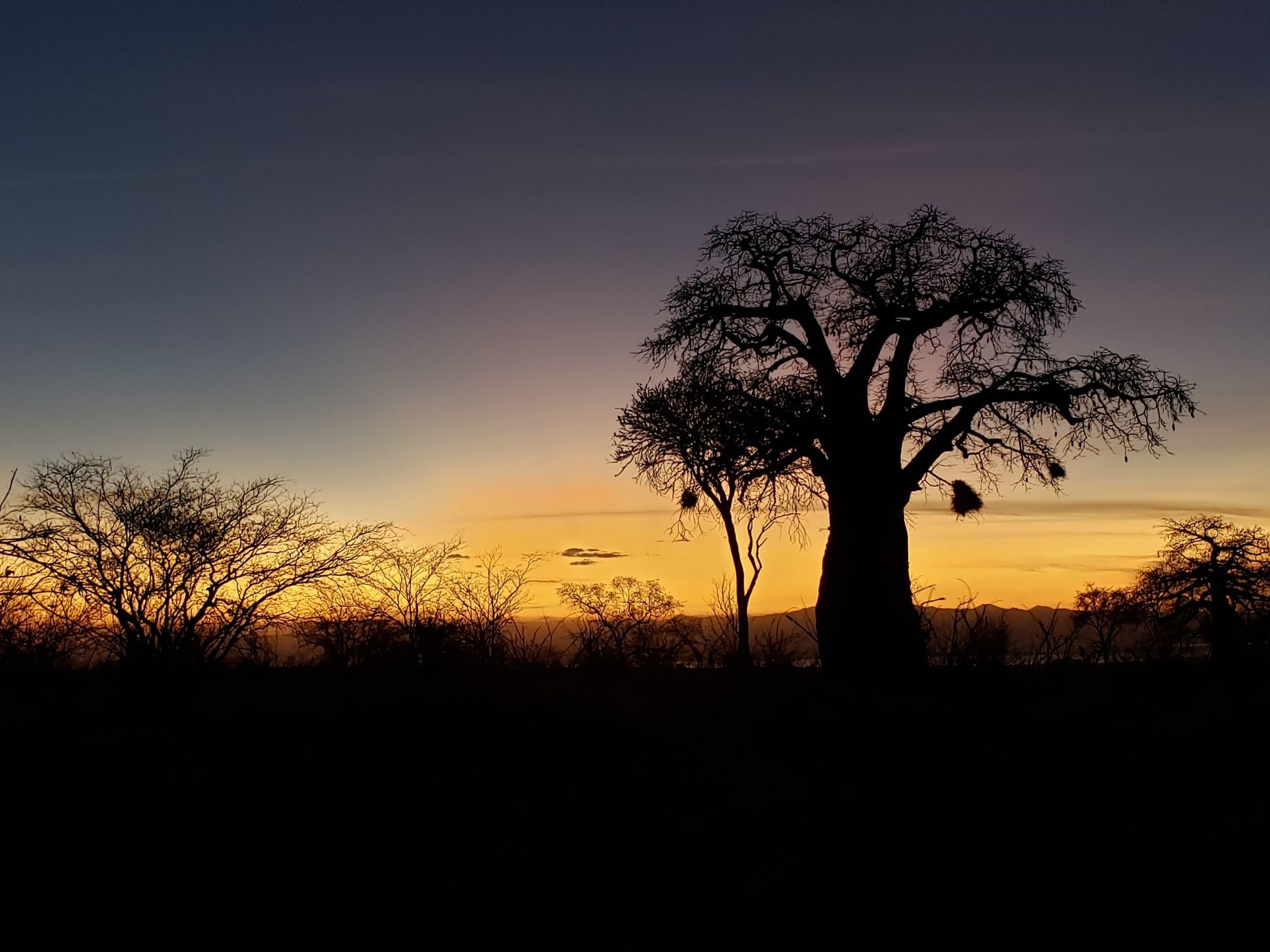 Tarangire National Park