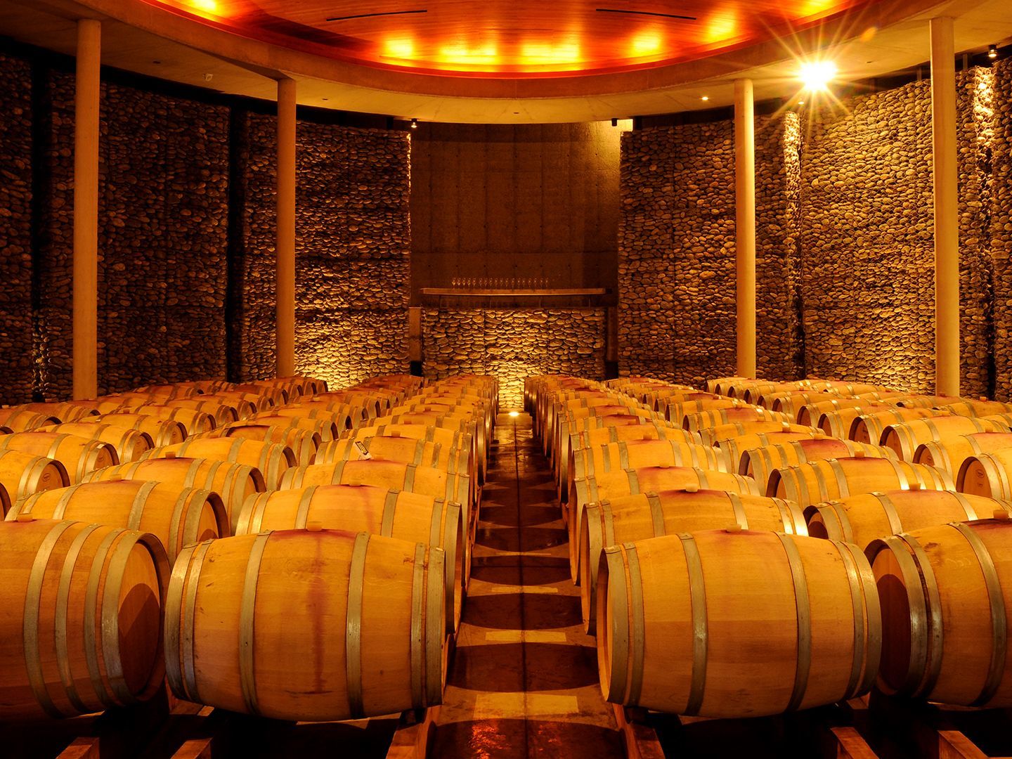 Half Day Winery Visit in the Casablanca Valley