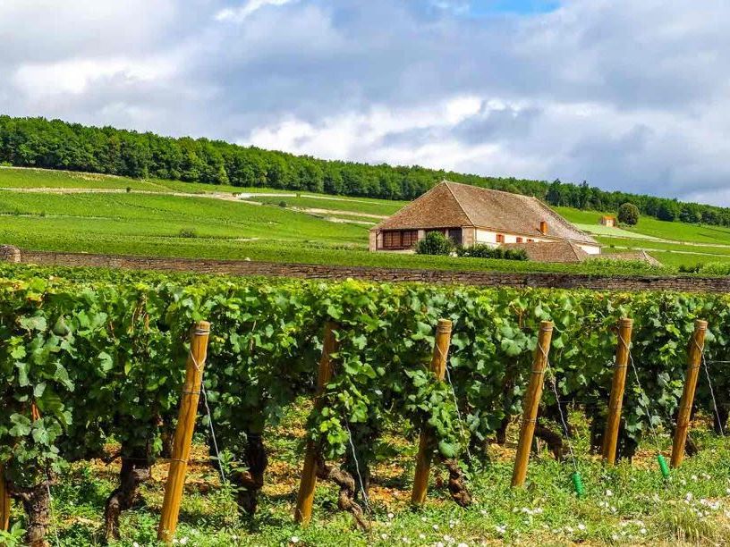 Cooking Class in Burgundy