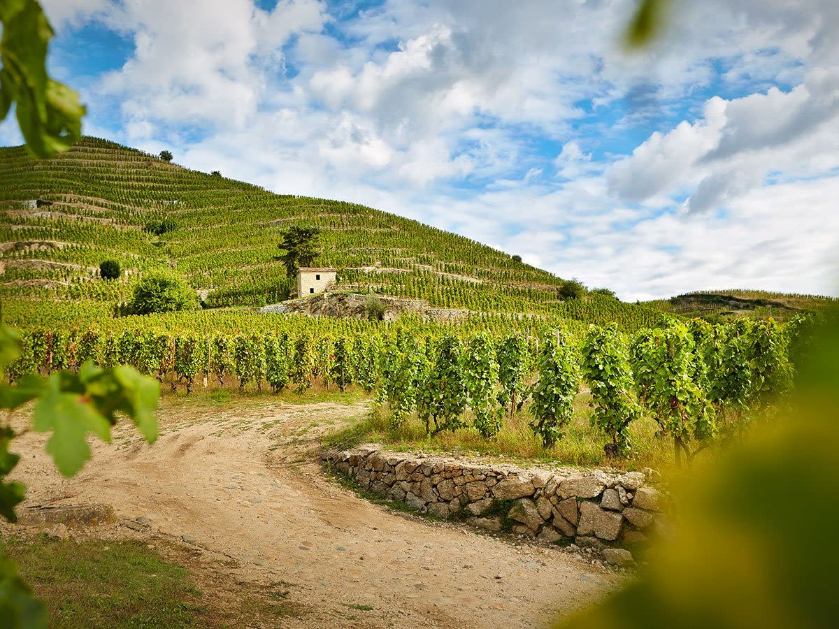 Transfer to France: Valence