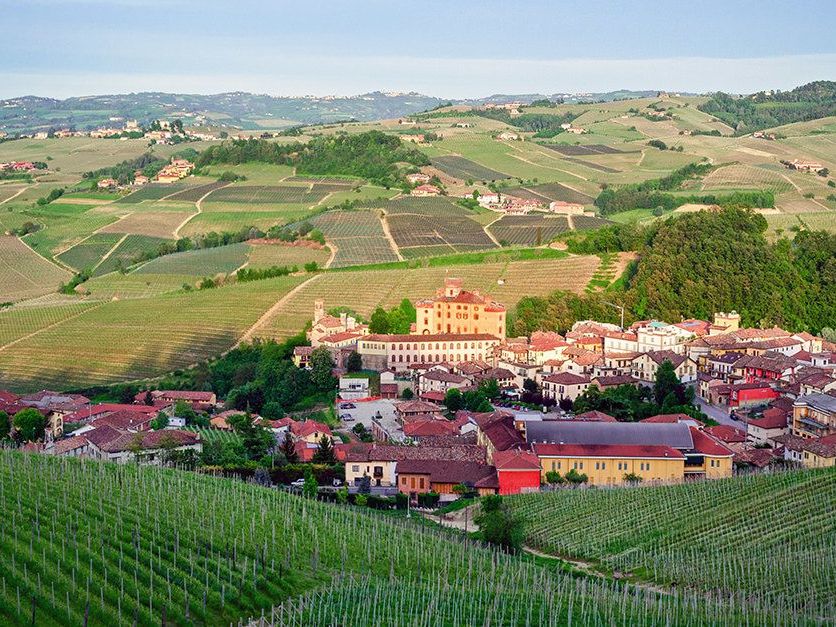 Deeper Discovery of Barolo