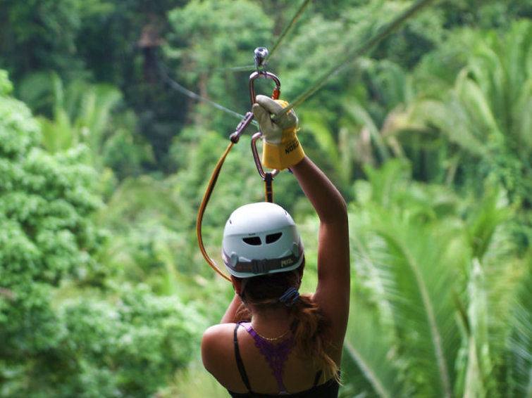 Canopy Ziplining & Boat Safari - Private