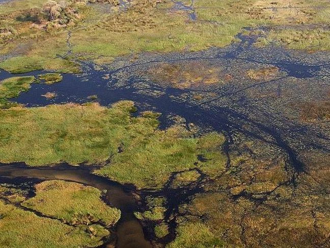 Guided Walk and Mokoro ride on the Okavango Delta