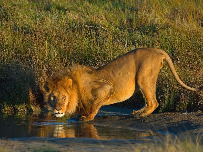 Kruger National Park