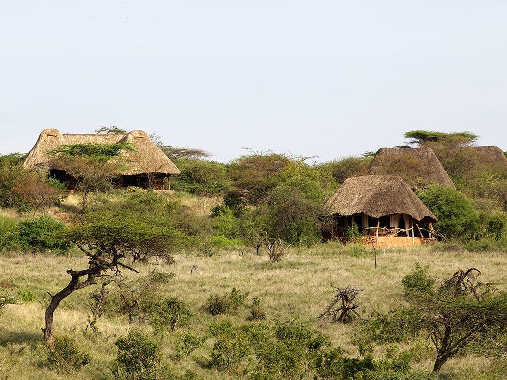 Lewa Safari Camp