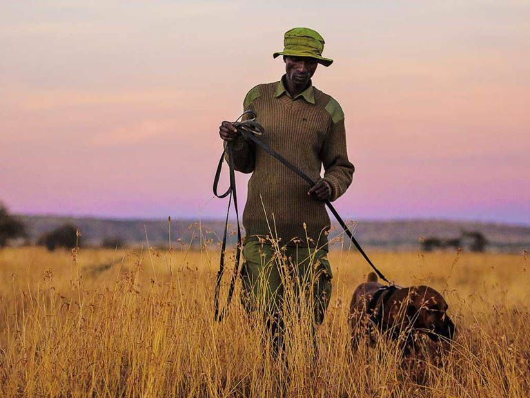 Activities in Loisaba Conservancy