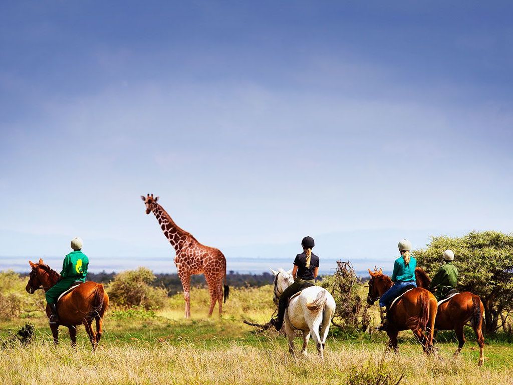 Activities in Loisaba Conservancy