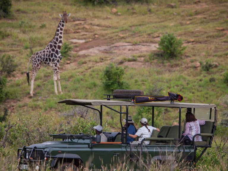 Activities in Loisaba Conservancy