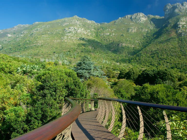 Kirstenbosch National Botanical Garden
