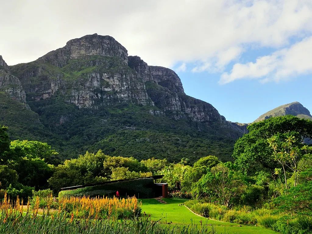 Kirstenbosch National Botanical Garden