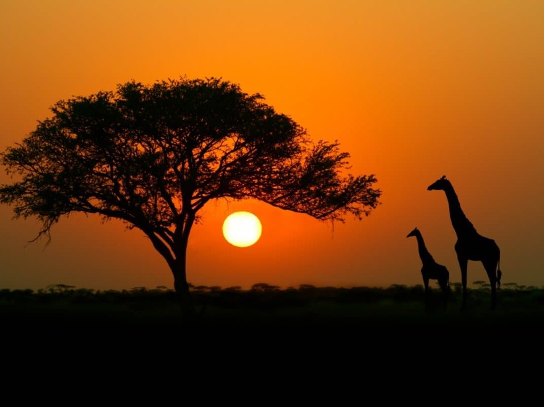 Hot Air Balloon safari over the Serengeti