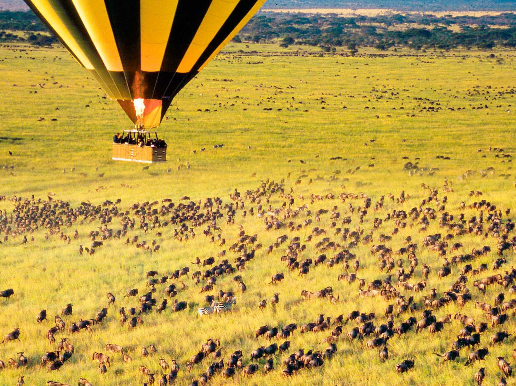 Hot Air Balloon safari over the Serengeti