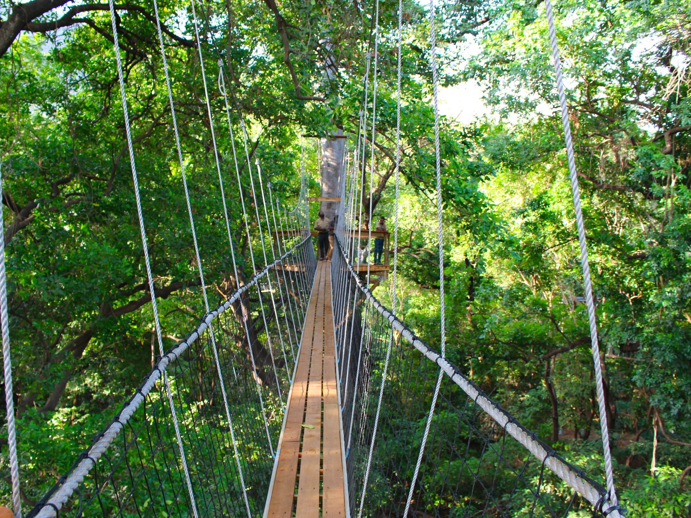 Treetop Canopy walk in Lake Manyara National Park