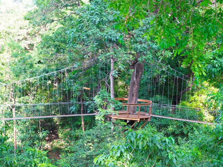 Treetop Canopy walk in Lake Manyara National Park