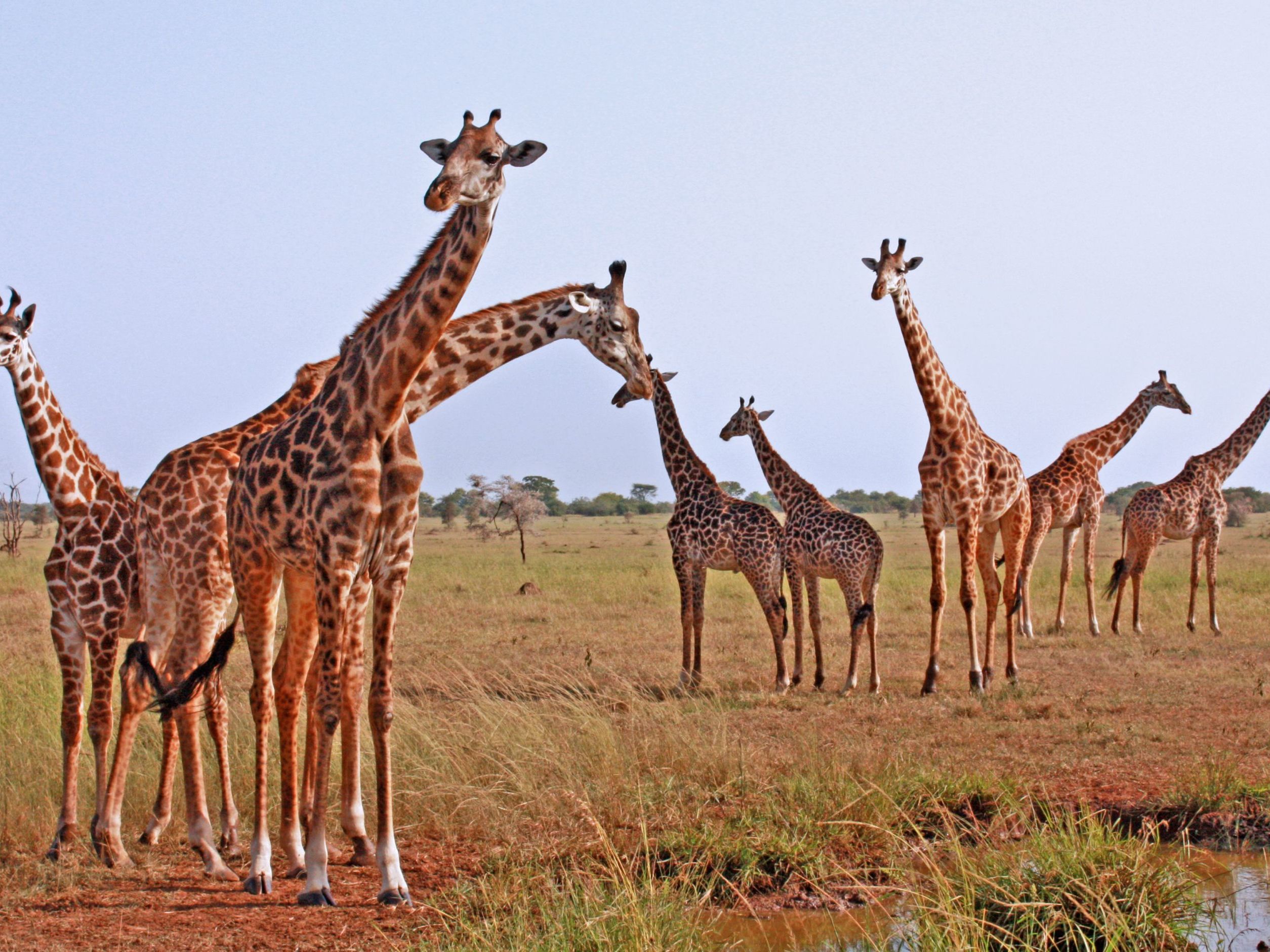 Serengeti National Park