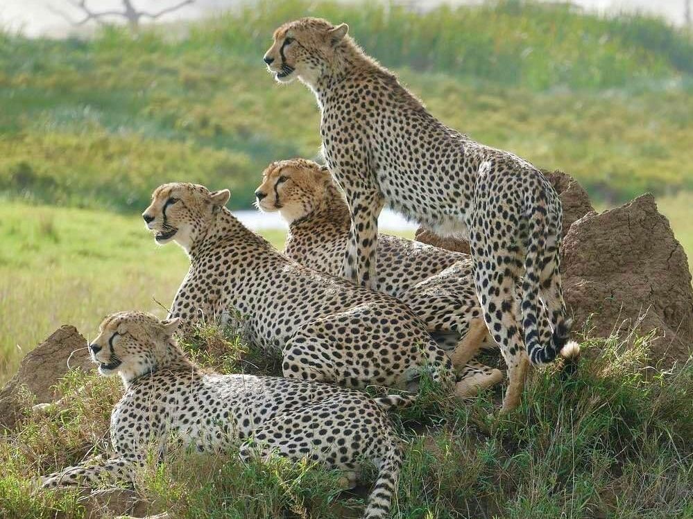 Serengeti National Park